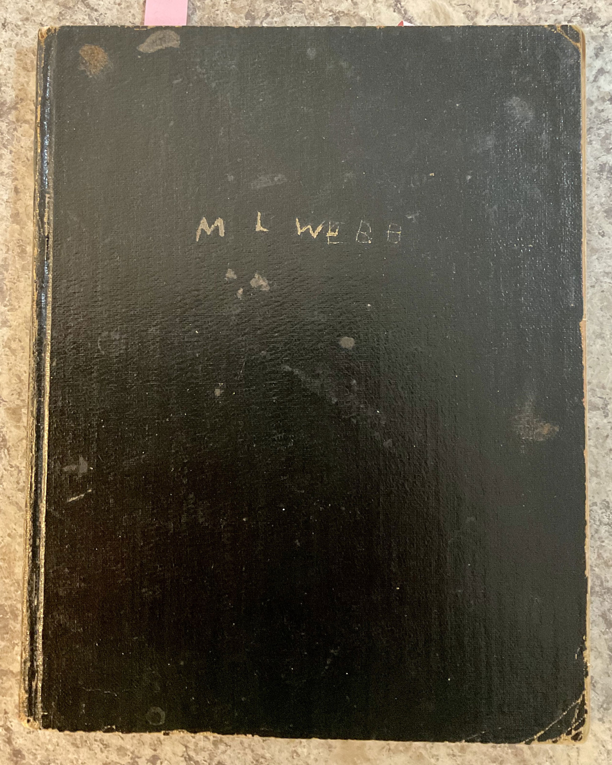 A volume of Myrtle Webb's diary.